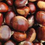 castagne