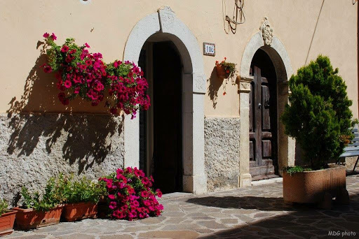 scorcio fiorito