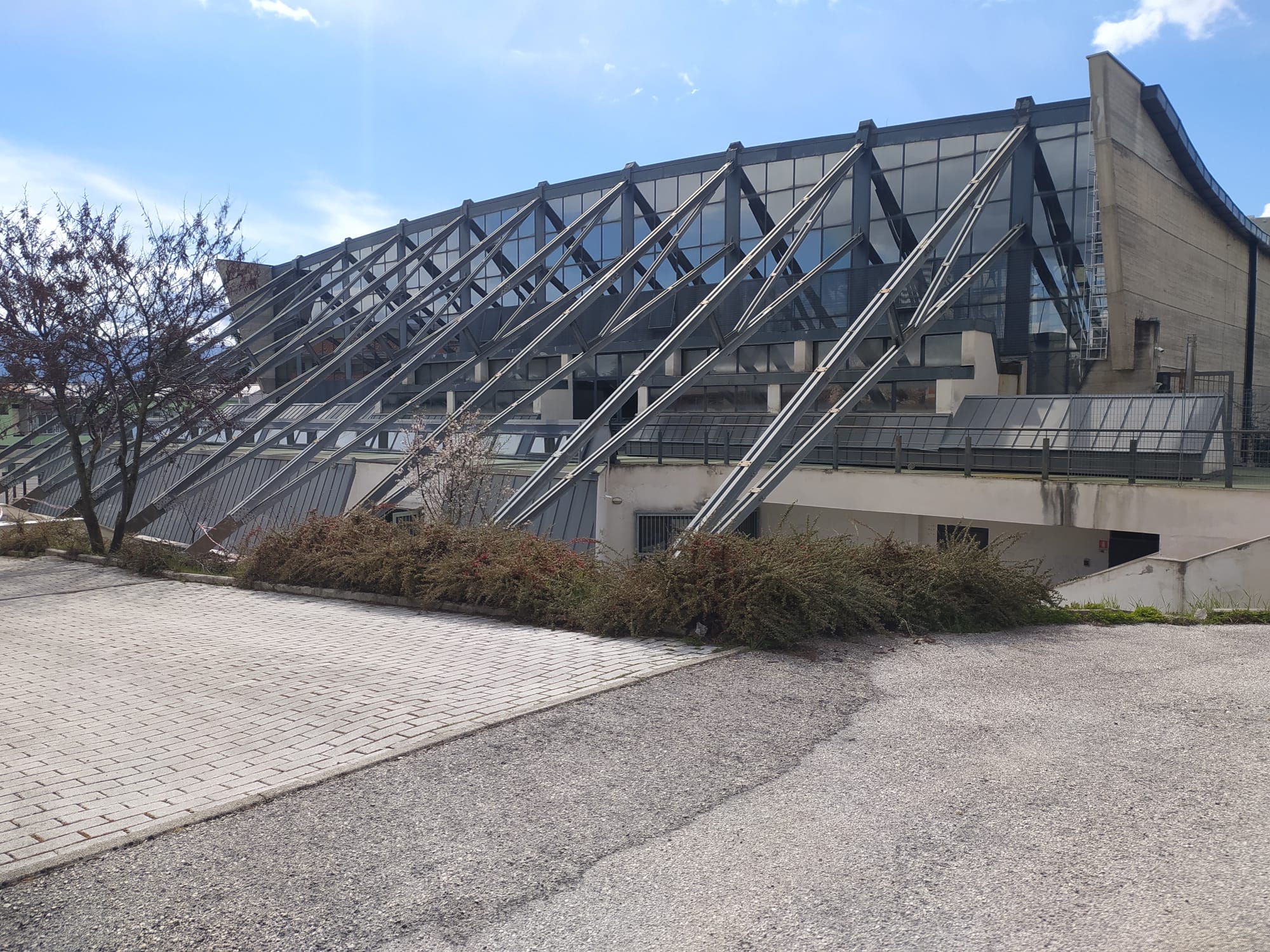 scuola vivenza palestra avezzano
