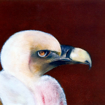quadro_10