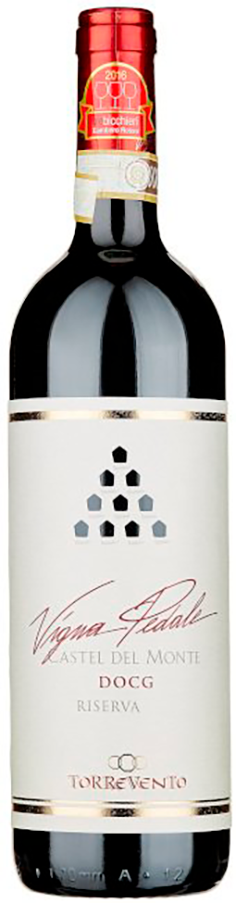 vigna-pedale-castel-del-monte-riserva-torrevento-2_2015