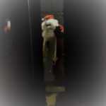 Babbo Natale BIS uscioMG_9308 (2)