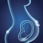 utero-come-si-modifica-in-gravidanza_900x760