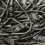 images-1