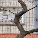 Foto x 52 Regni muro di libri Kiev