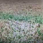 IFoto 3 limite 66MG_20220617_091745