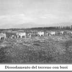 Immagine3 x Editoriale 65