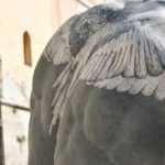 images-16