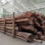 Gruppo-MAMA-installazione-sonora-Documenta-Kassel
