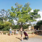 MAMAAtelier-van-Lieshout-MAMA-Doc-Documenta-Kassel
