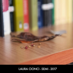 Laura-Cionci-SEMI-ottobre-2017-Mercatino-del-Libro-Usato-La-Seconda-Notte-di-Quiete-Veronetta-ArtVerona-1