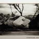 images-6