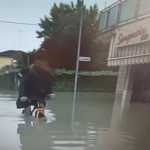 ALLUVIONE !=( 61774b34-27f0-4bb1-9aab-45cdd9957c8c