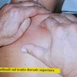 foto 1 del 117