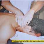 foto 2 del 117