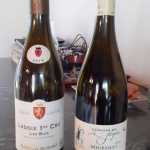 Foto Vino 119