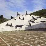 Unknown-4