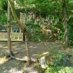 f25d9b0d-d80b-4cae-a625-c46bc79108ee