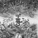 440px-Rops_Les_Epaves_1866