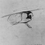 Unknown-7