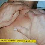 foto 2 n. 130