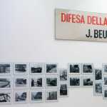 2.-Joseph-Beuys_Budi-Durini_Difesa-della-natura_ph.-Mart-Rovereto