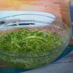 Puntarelle x 153