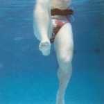 foto 1 n. 151