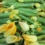 Zucchine