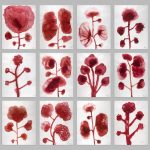 13_les-fleurs-13765-overall_LG-850×850