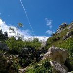 Foto at.ualità Rico 175