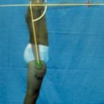 foto 1 n. 178