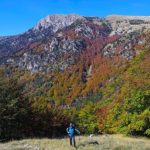 pollino-bevilacqua-1-748×484