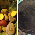 FOTO PATATE E CPPPO 181fImage 2024-12-15 at 10.08.01