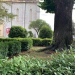 Foto Martiri Gubbio 186