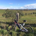 Bicicletta per Consumatori 189