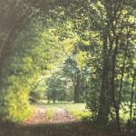 foto n. 1 del n. 192