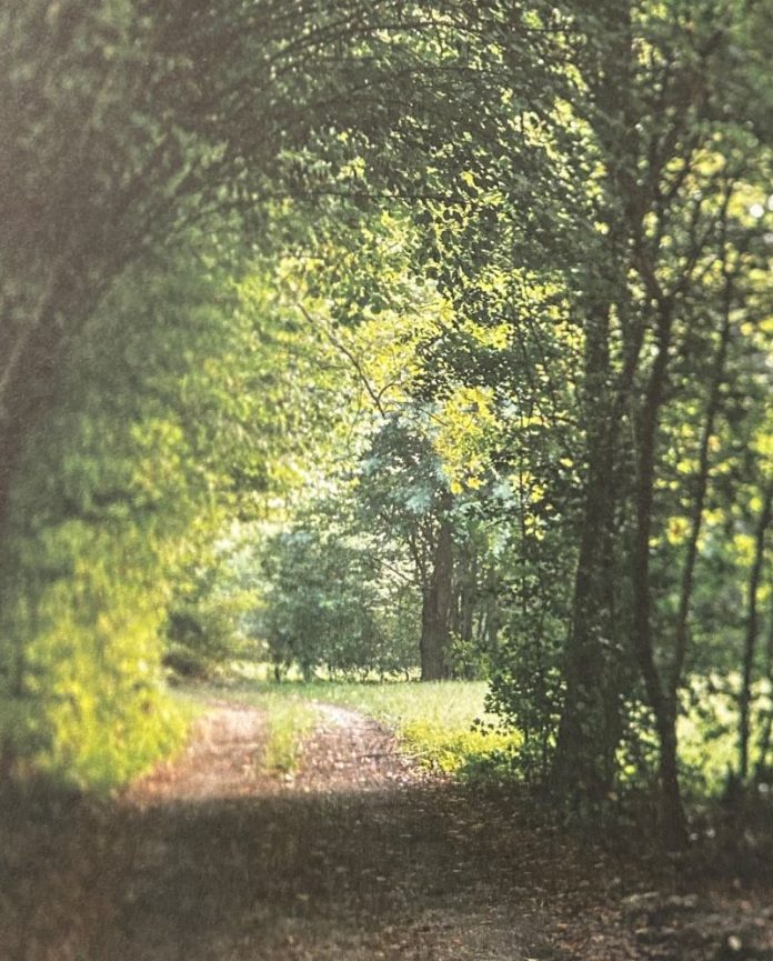 foto n. 1 del n. 192