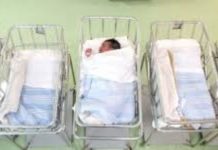 RECORD DI CULLE VUOTE IN TUTTA ITALIA: MAGLIA NERA PER ABRUZZO E SARDEGNA