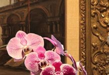 LE TERME E LO “STATO DI BENESSERE”