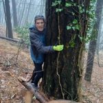 Raniero e l’Albero 238WhatsApp Image 2026-01-25 at 12.52.56