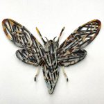 marco-gallotta-moth1-papercutting-1
