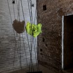 IMG_4178