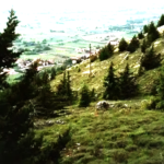 Monte salviano 240