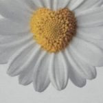 foto 4 n. 242 22.03.2026