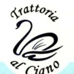 foto 2 n. 245 12.04.2026