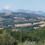 Foto Limite Panorama Assisi WhatsApp Image 2026-09-05 at 08.58.21