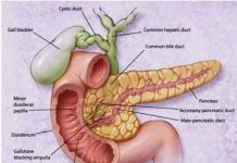 IL PANCREAS PUO’ SMETTERE DI ESSERE INGUARIBILE: DIAGNOSI RIVOLUZIONARIA PER SALVARE VITE UMANE